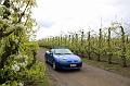 MG Bloesemrit op 24-4-2016 org. Jos&Marie-lou  (43)